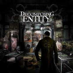 Decomposing Entity : So It Begins